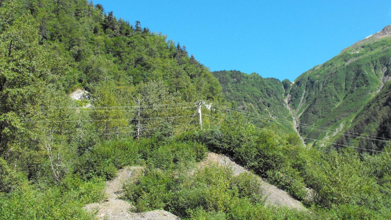Kelli Creek Cottage - Reduced Price On Tours Джуно Екстер'єр фото